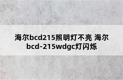 海尔bcd215照明灯不亮 海尔bcd-215wdgc灯闪烁